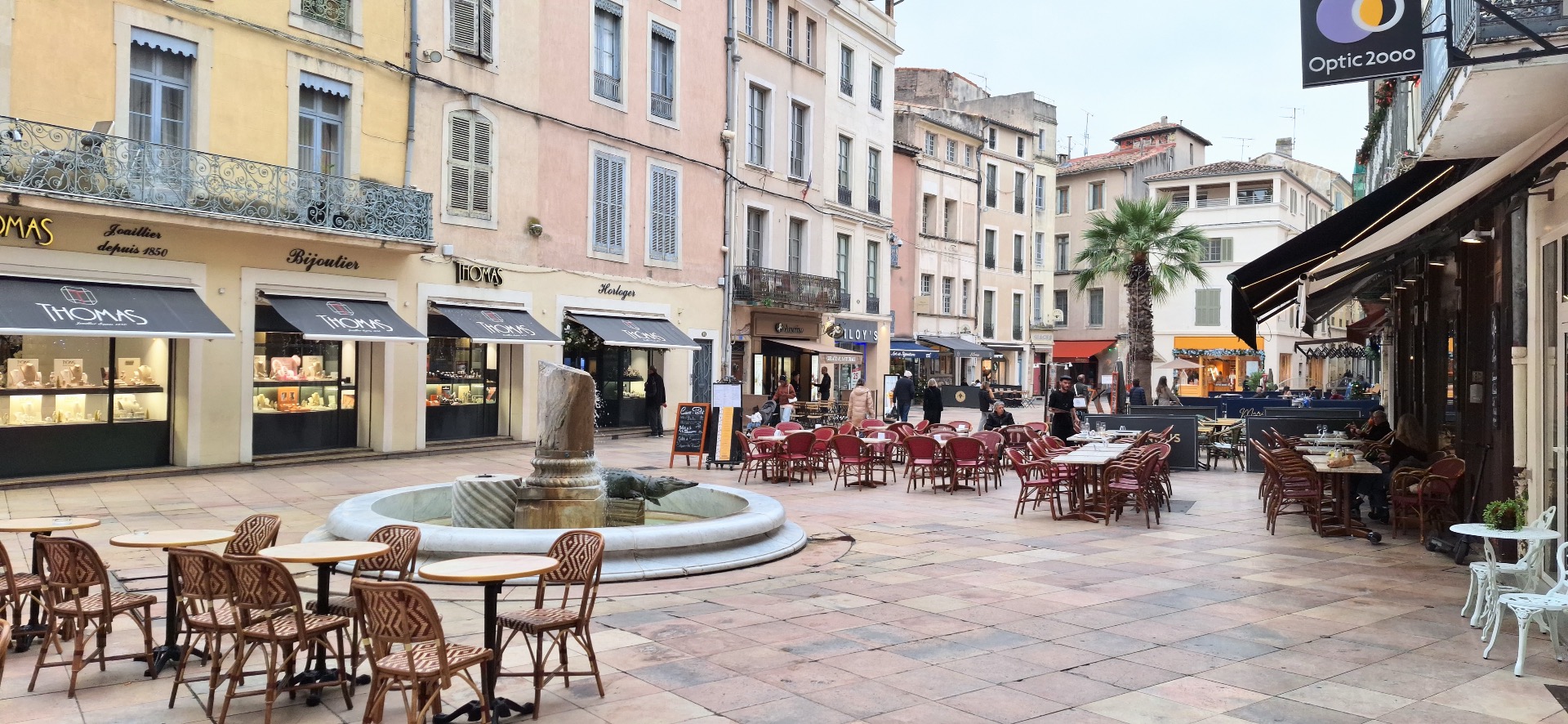 Place du Marche met krokodil en palm.