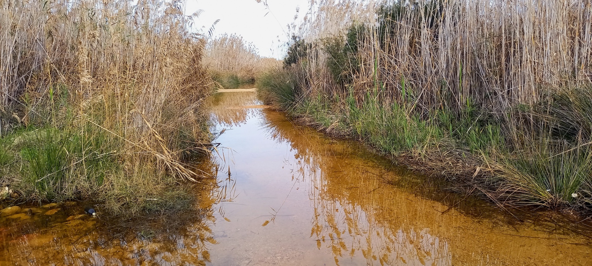 Een weg naar het park Oliva Pego