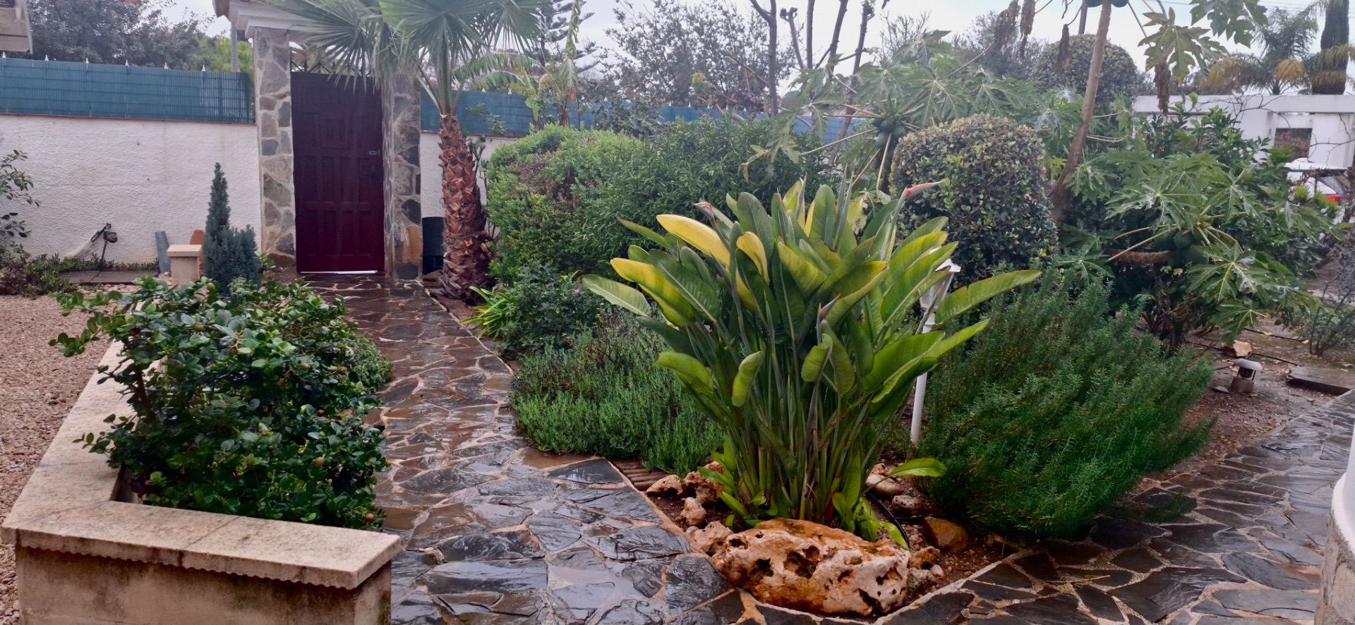 Regen in de voortuin